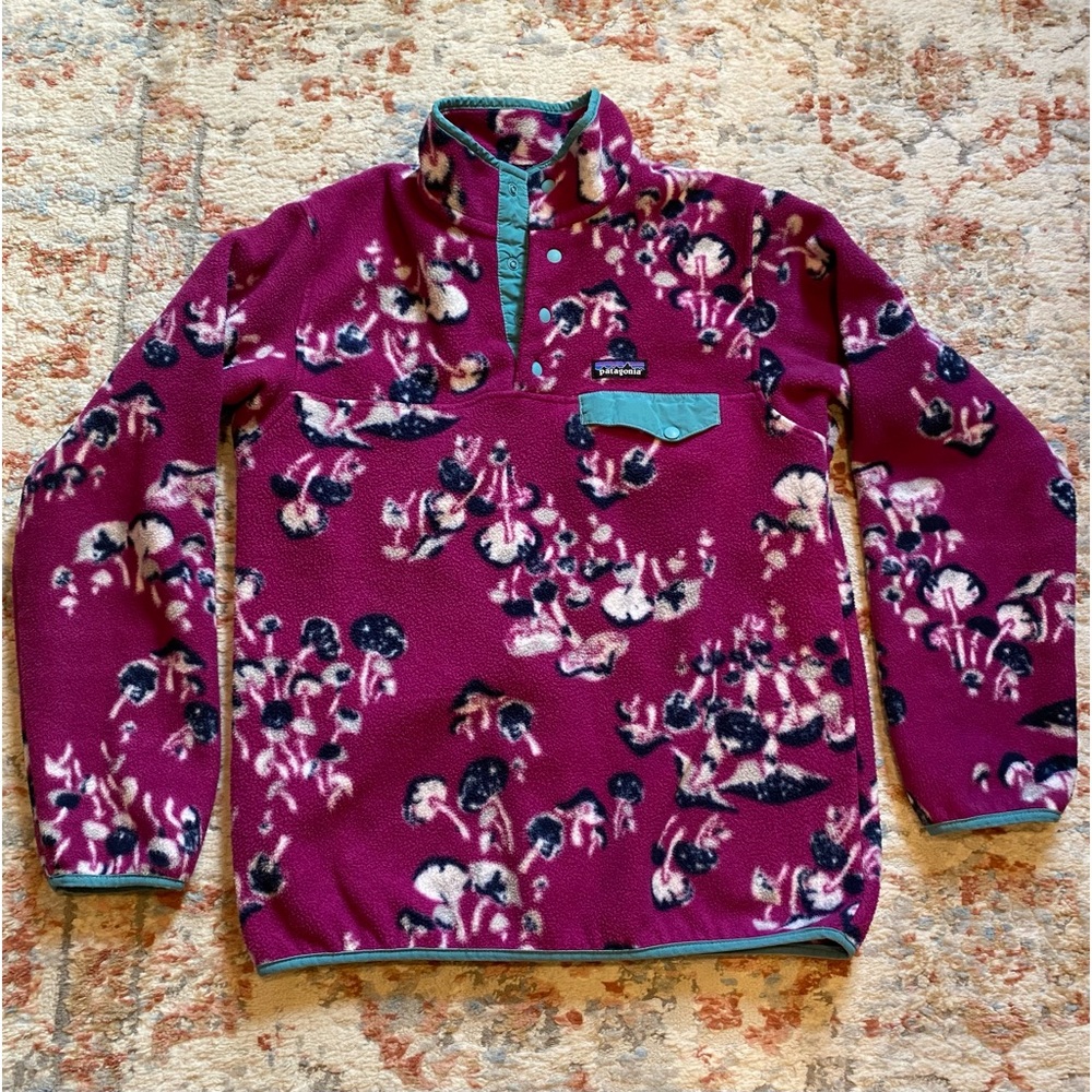 Patagonia Synchilla Pullover Sweater